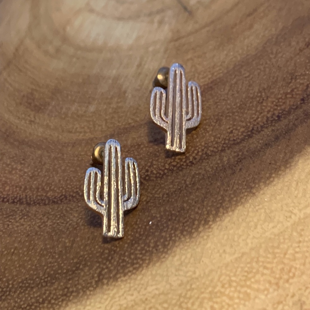 Park and Buzz post style earrings